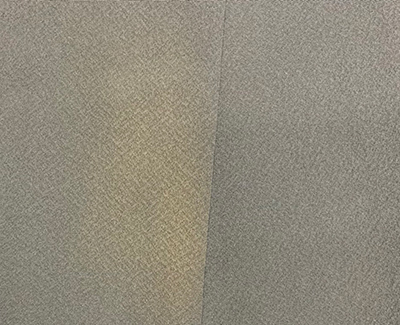 色ヤケ前